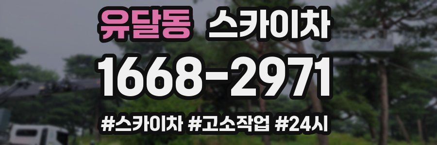 유달동 스카이차