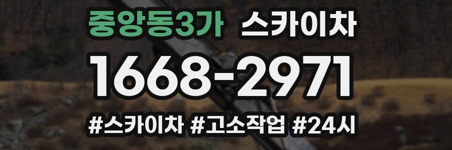 중앙동3가 스카이차