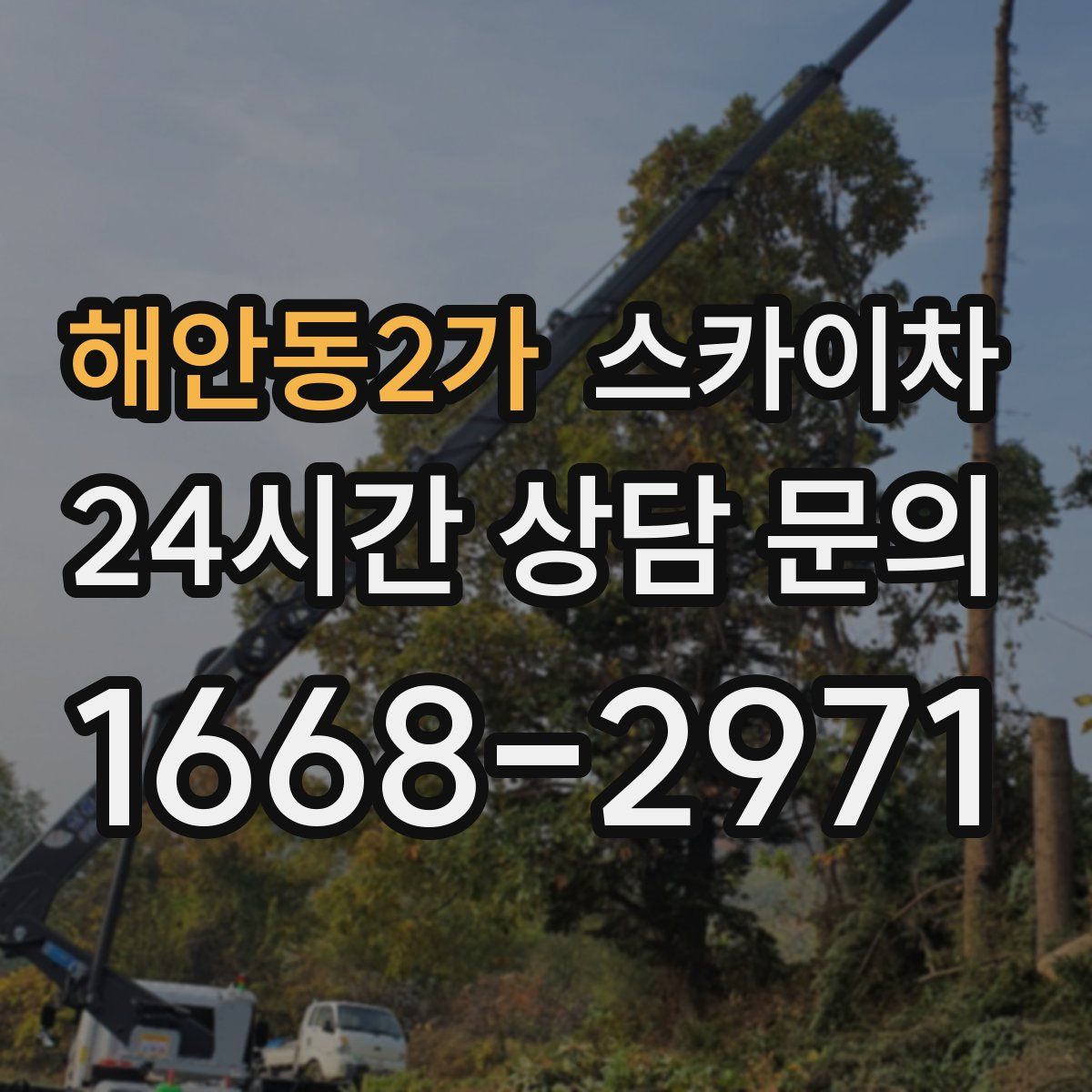 해안동2가 스카이차