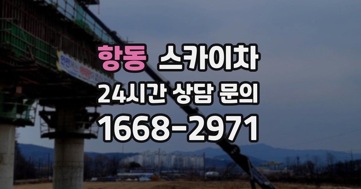 항동 스카이차