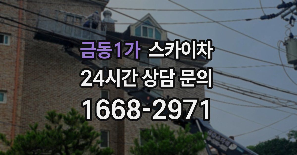 금동1가 스카이차