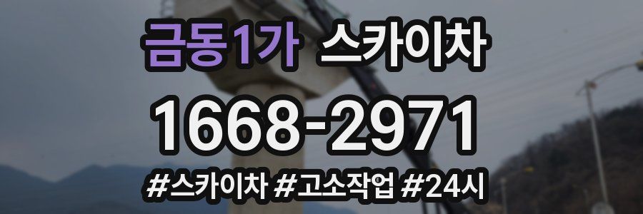 금동1가 스카이차