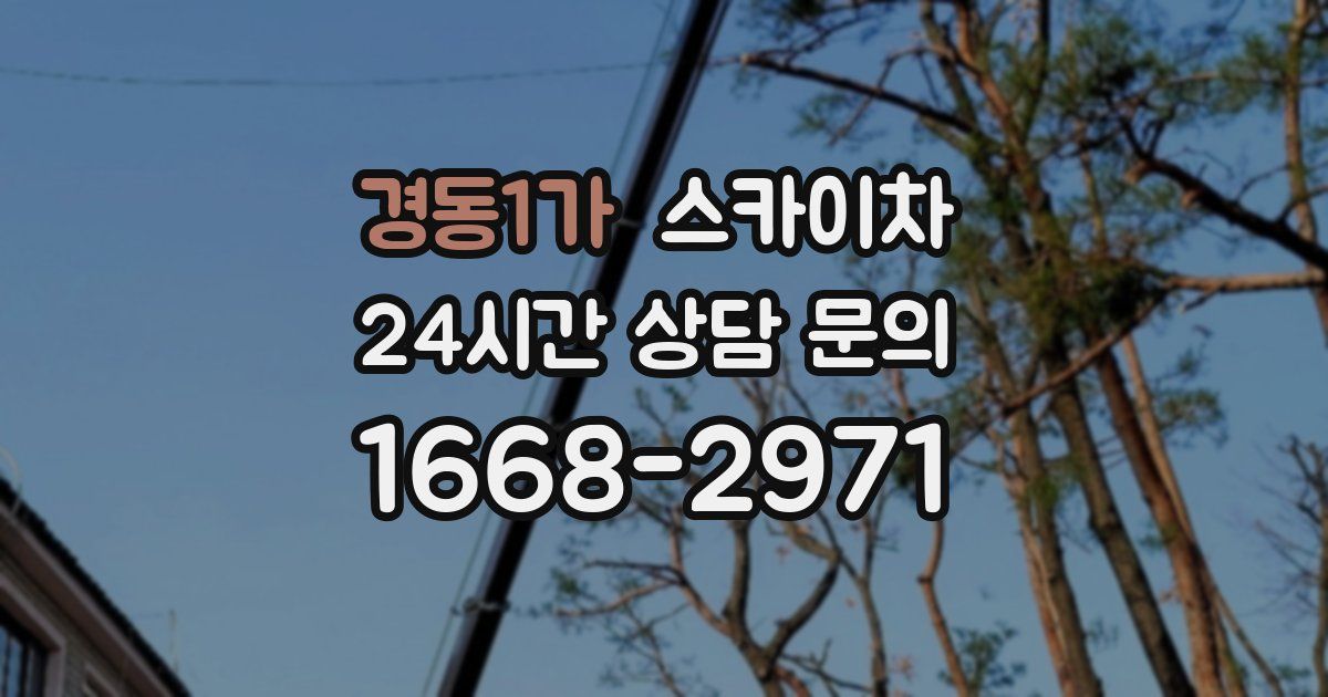 경동1가 스카이차