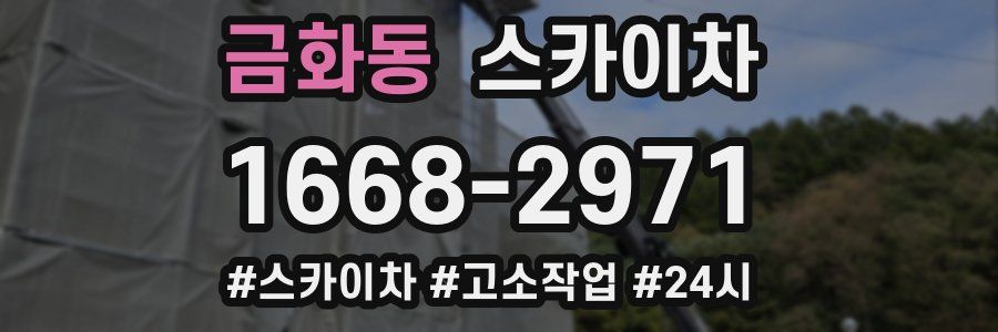 금화동 스카이차