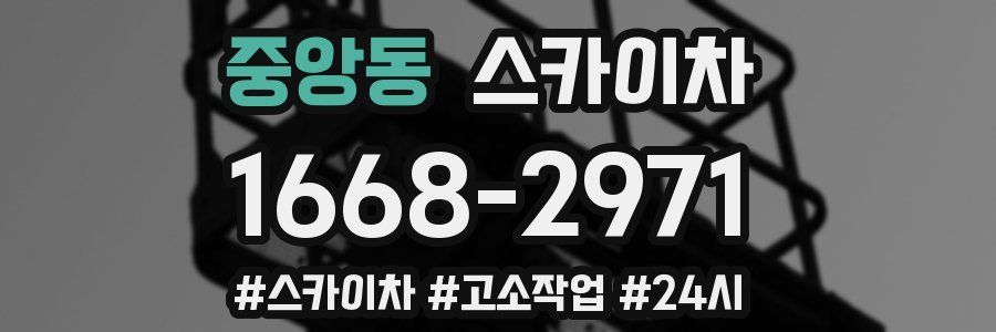 중앙동 스카이차