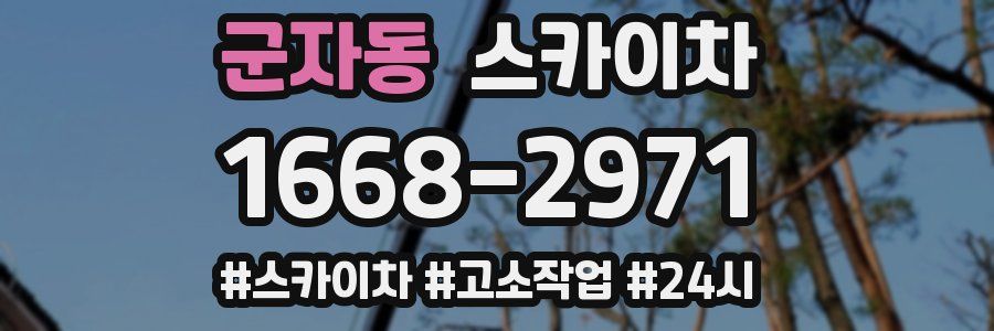 군자동 스카이차