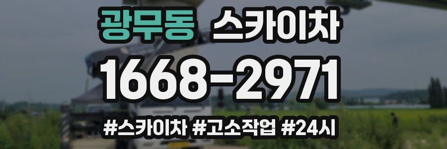 광무동 스카이차