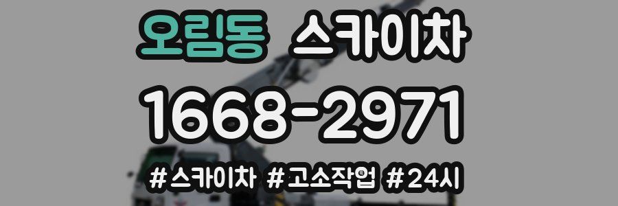 오림동 스카이차