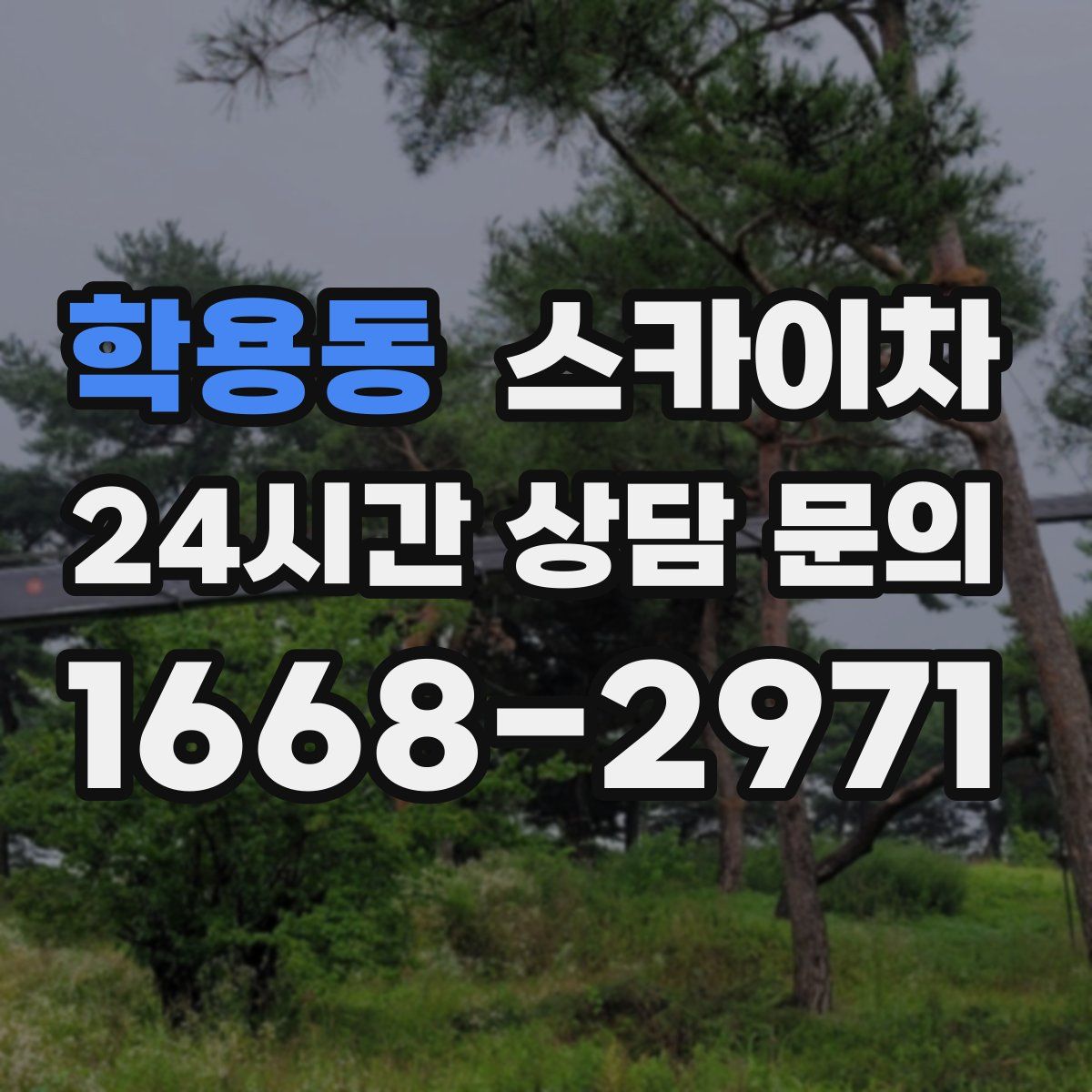 학용동 스카이차