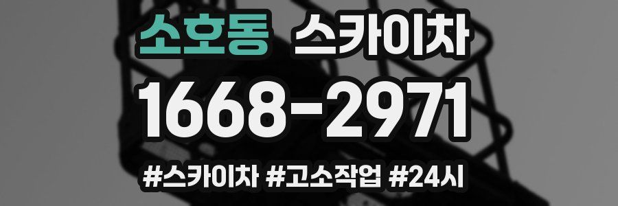 소호동 스카이차