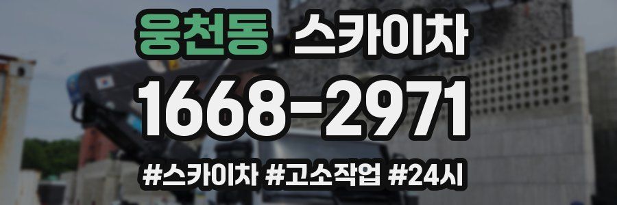 웅천동 스카이차