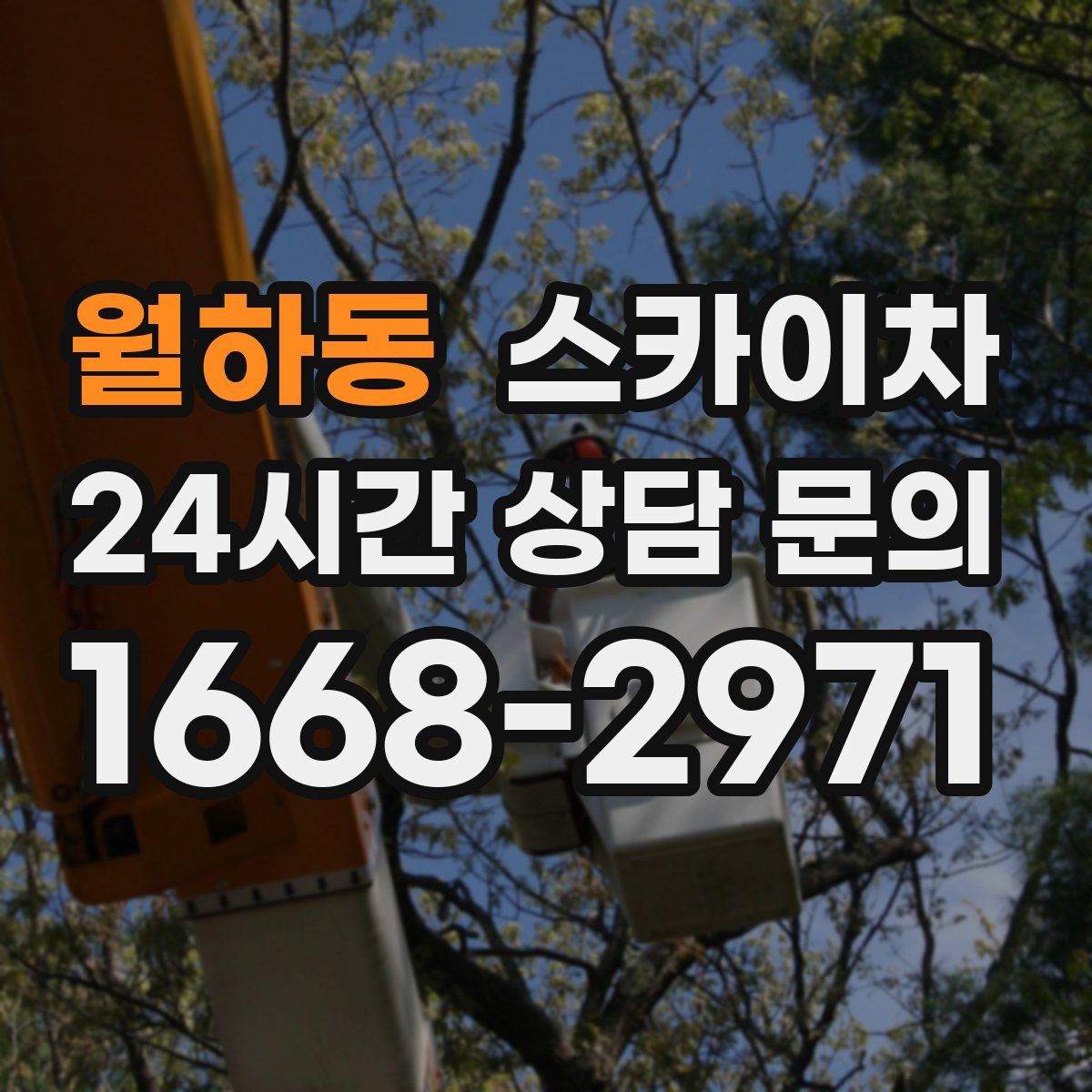 월하동 스카이차