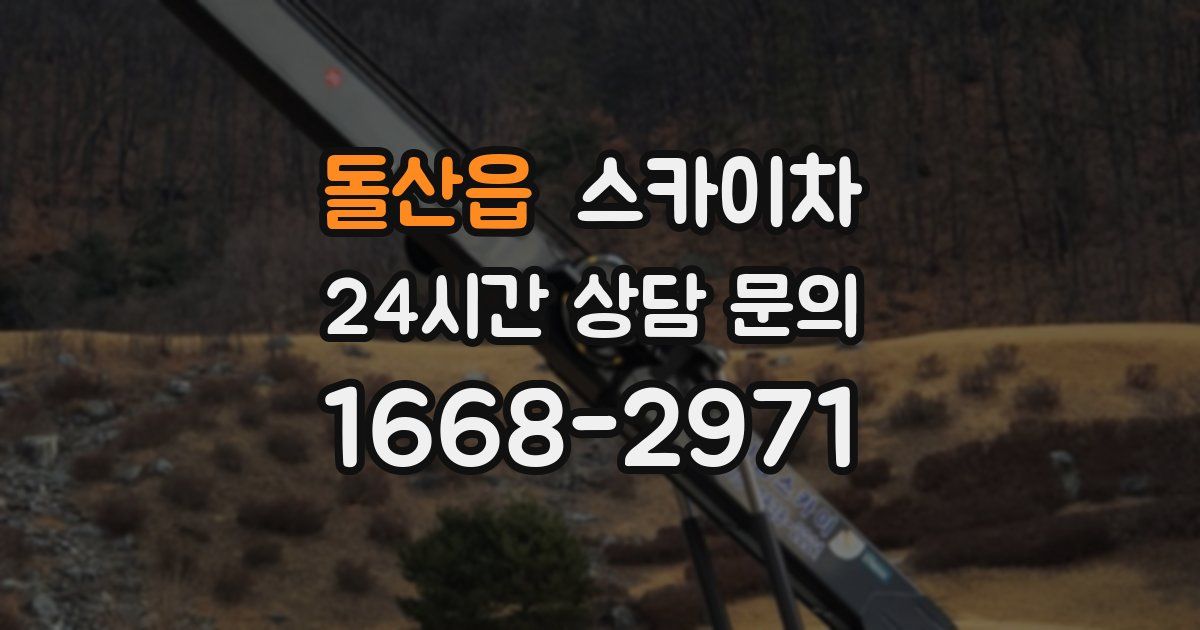 돌산읍 스카이차