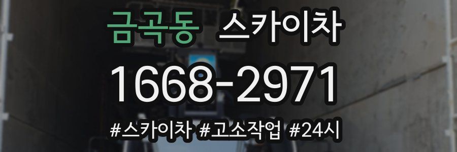금곡동 스카이차