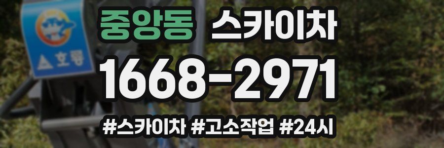 중앙동 스카이차