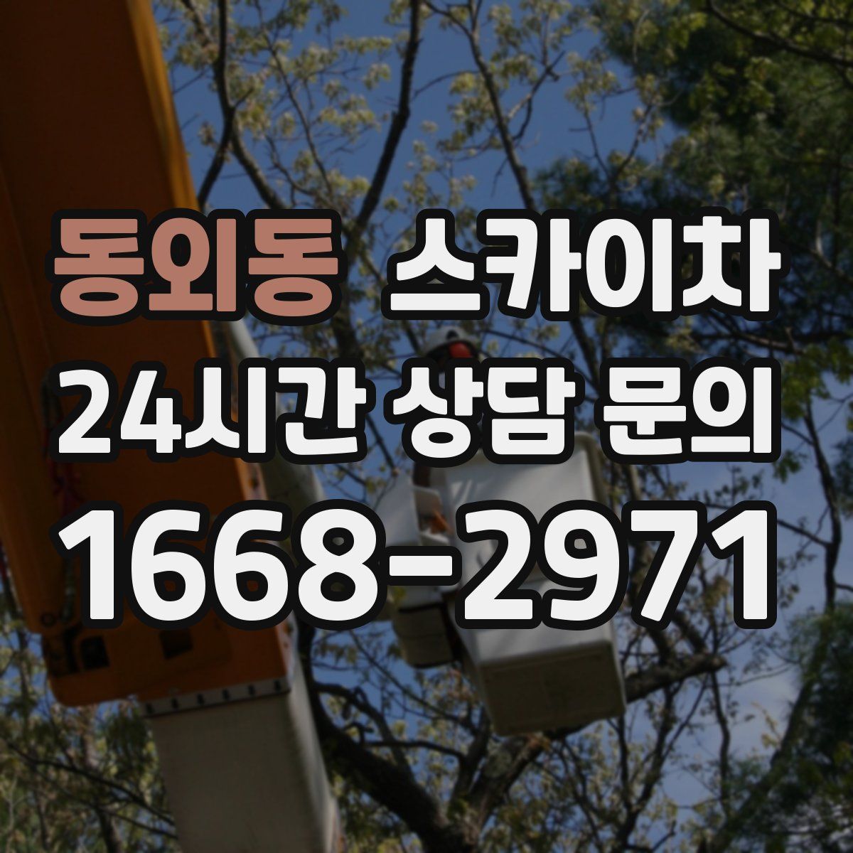 동외동 스카이차