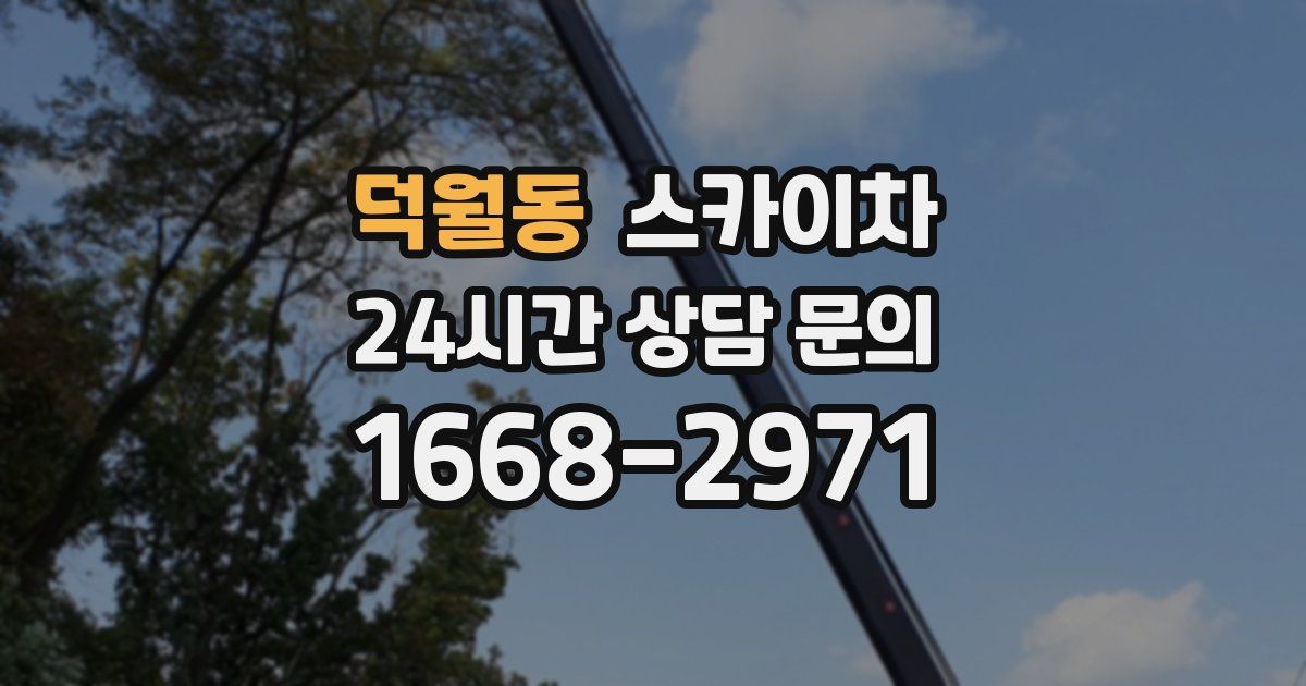 덕월동 스카이차