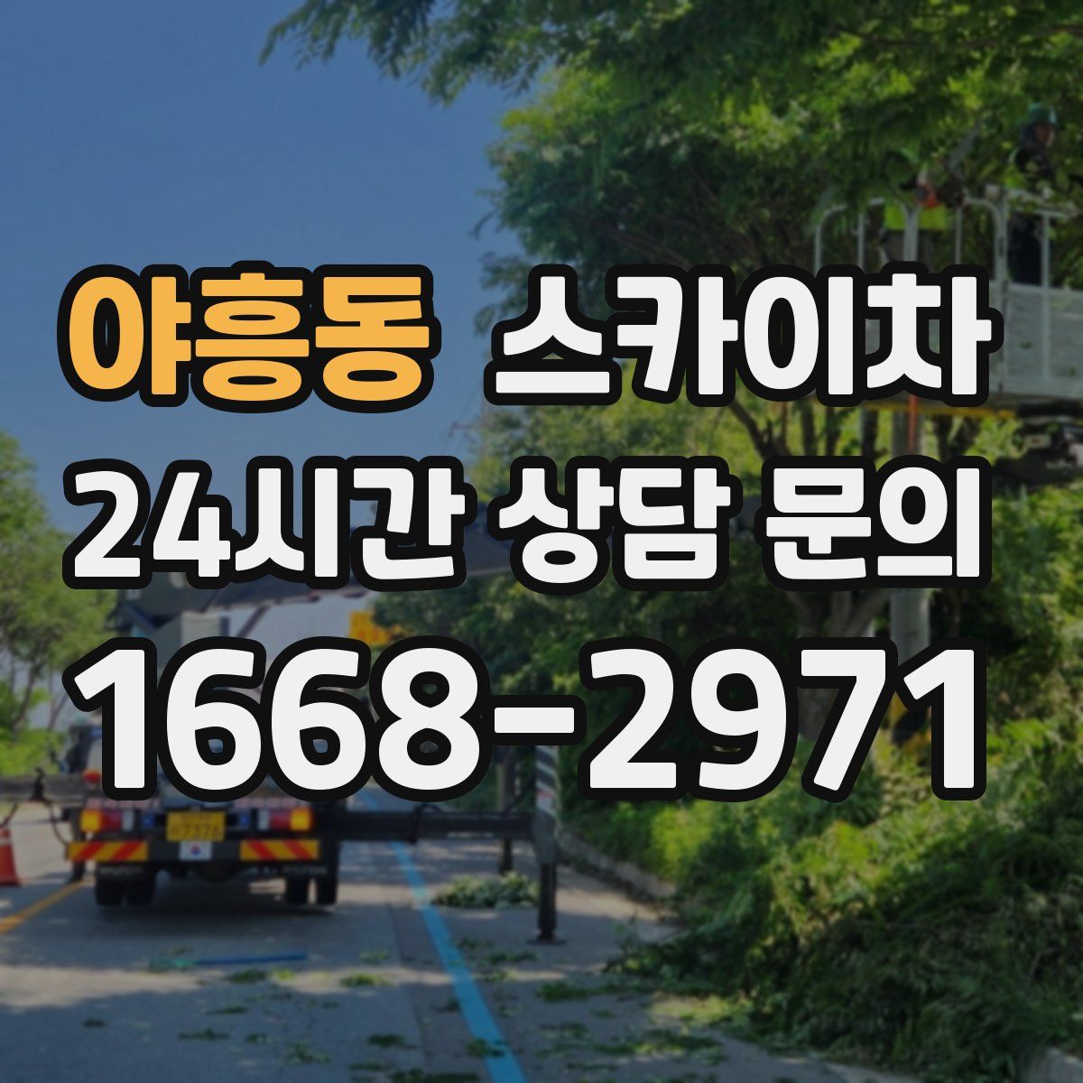 야흥동 스카이차