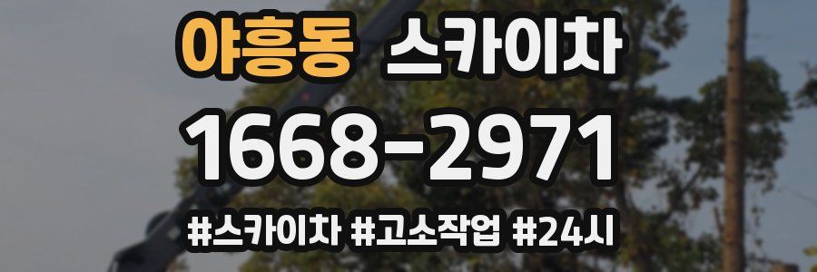 야흥동 스카이차