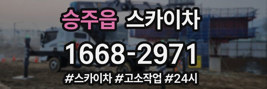 승주읍 스카이차