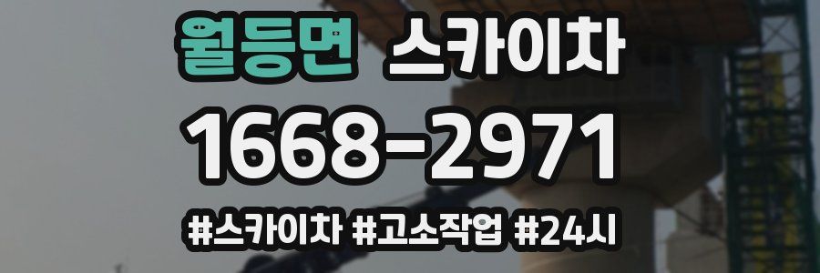 월등면 스카이차