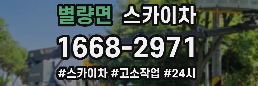 별량면 스카이차