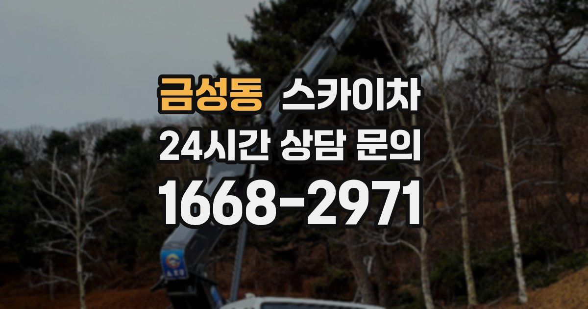 금성동 스카이차