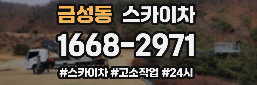 금성동 스카이차