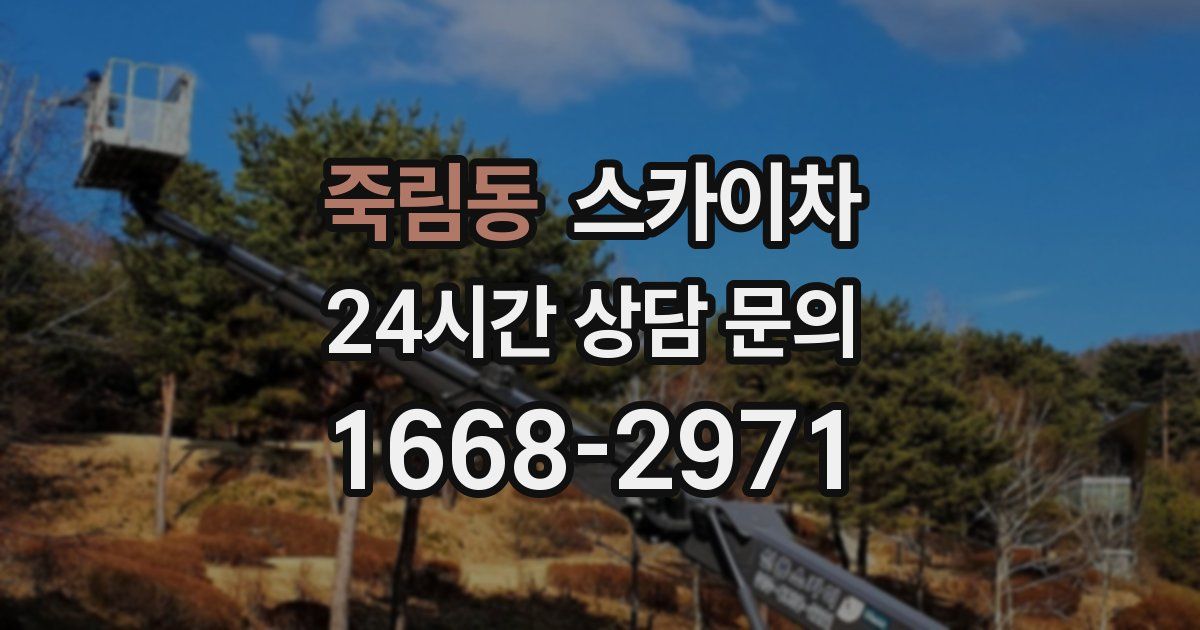 죽림동 스카이차