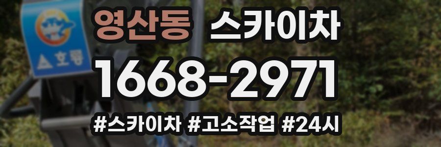 영산동 스카이차