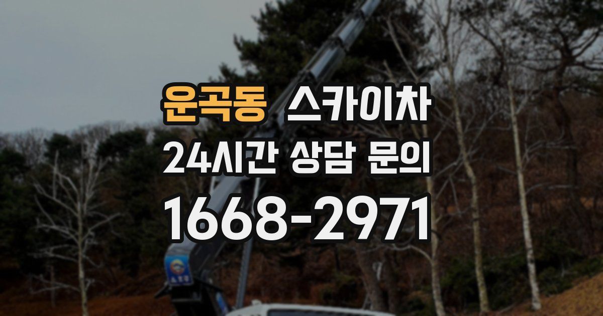 운곡동 스카이차