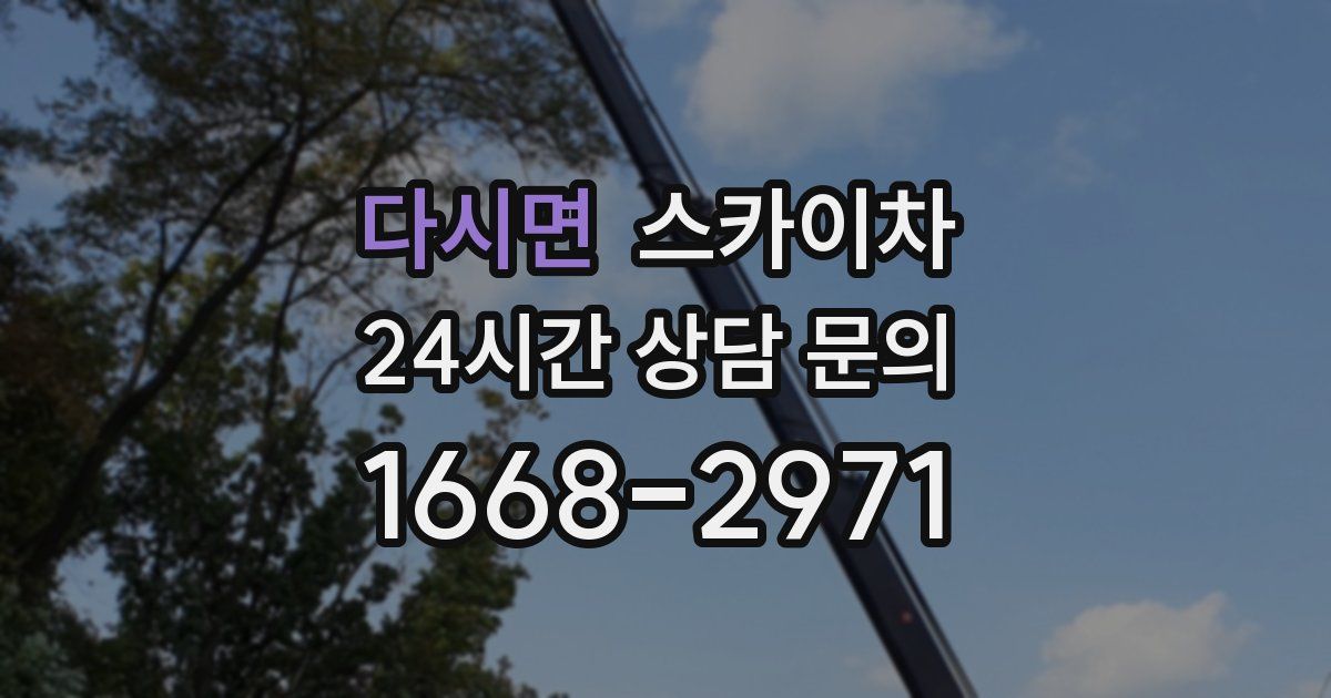 다시면 스카이차