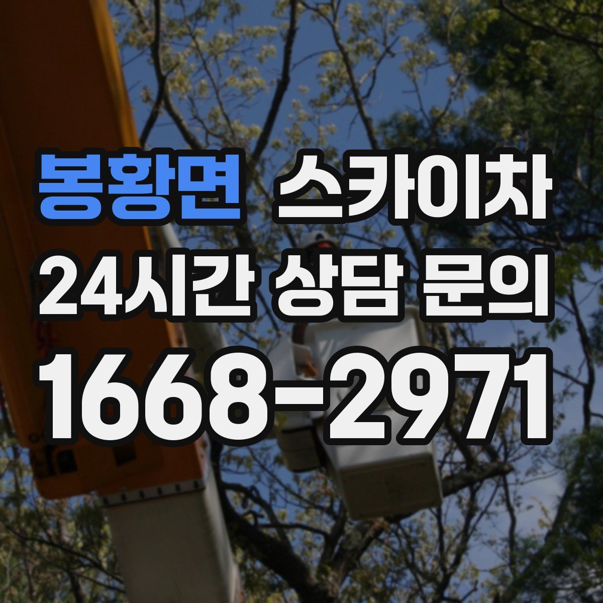 봉황면 스카이차