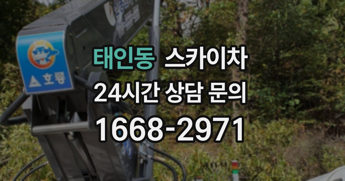 태인동 스카이차