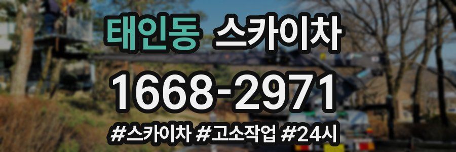 태인동 스카이차