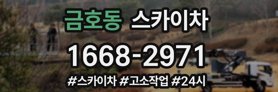 금호동 스카이차