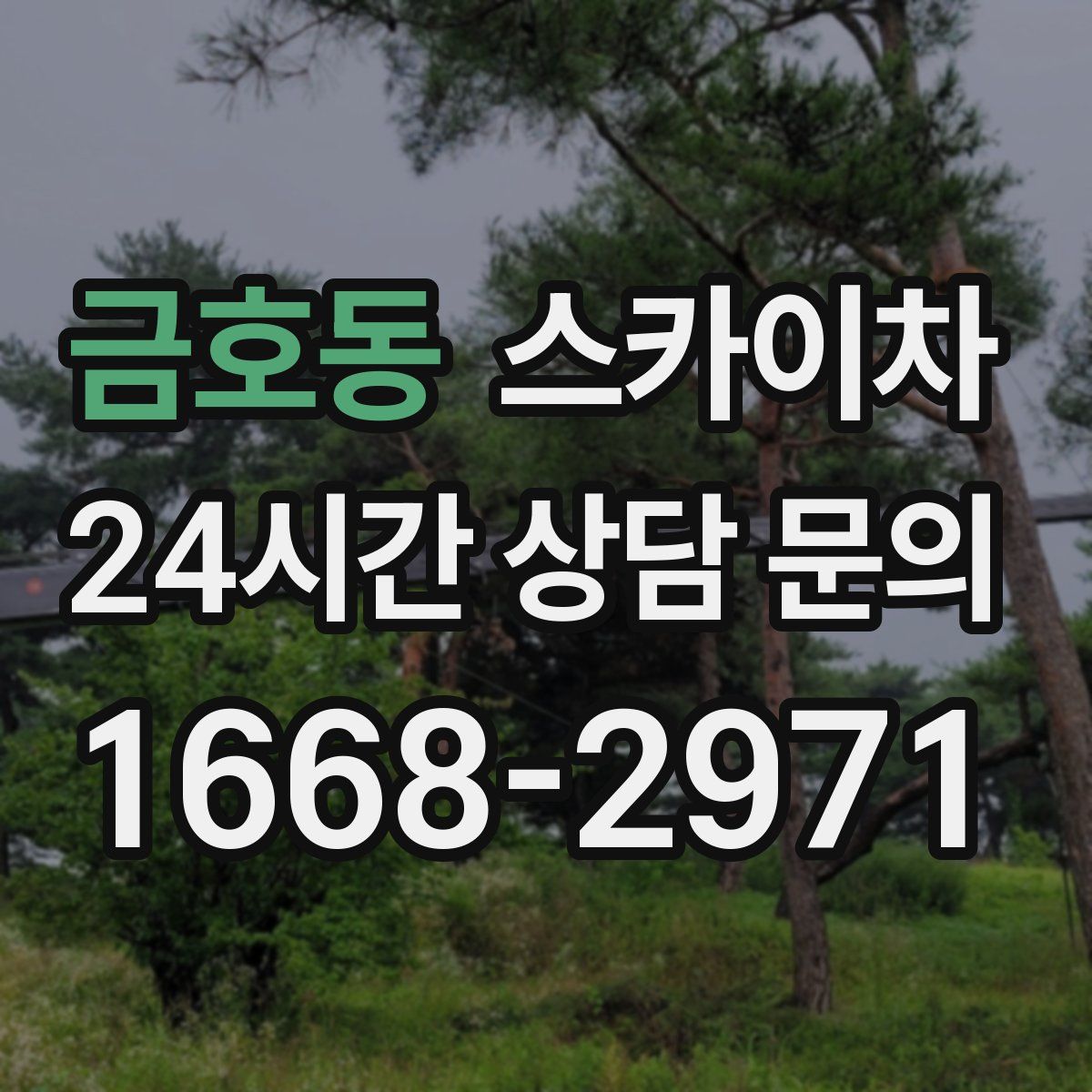 금호동 스카이차