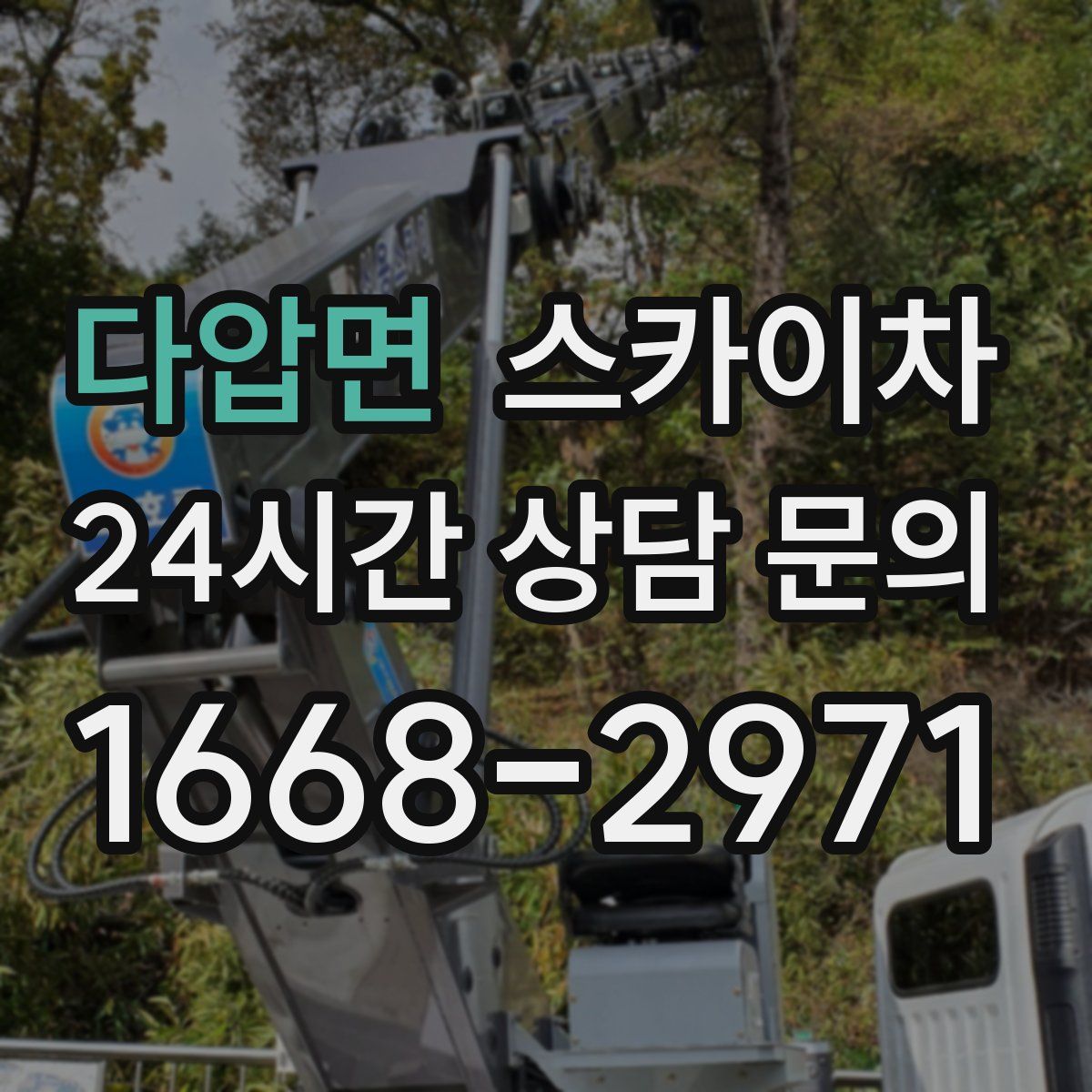 다압면 스카이차