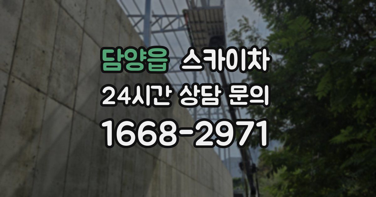 담양읍 스카이차