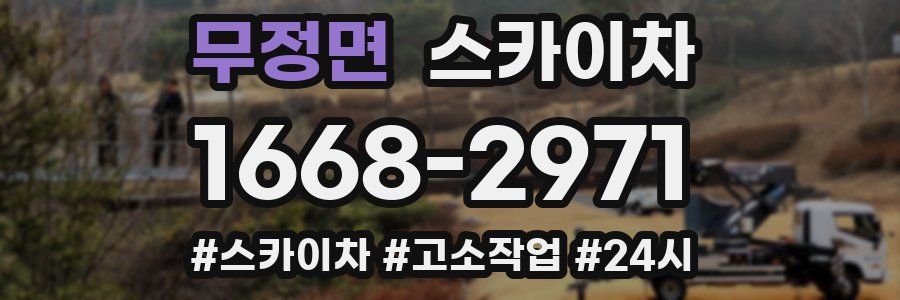 무정면 스카이차