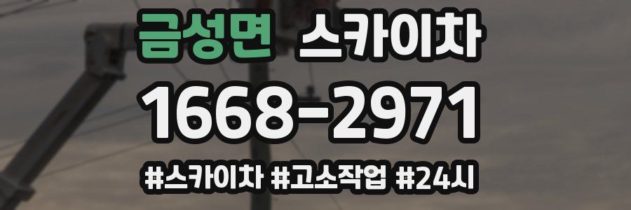 금성면 스카이차