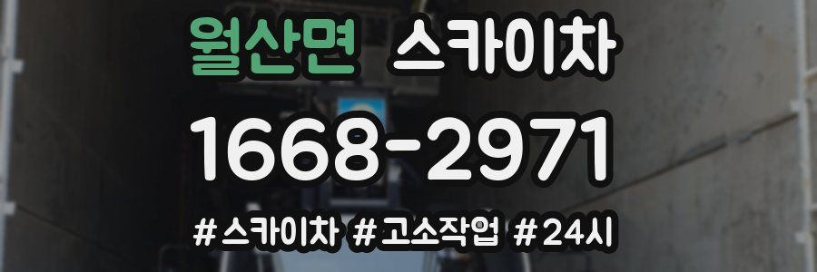 월산면 스카이차