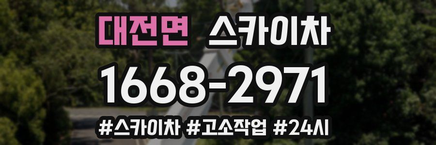 대전면 스카이차