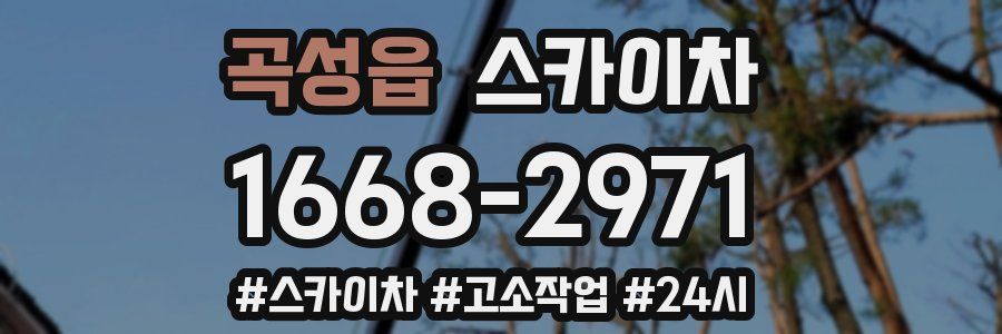 곡성읍 스카이차