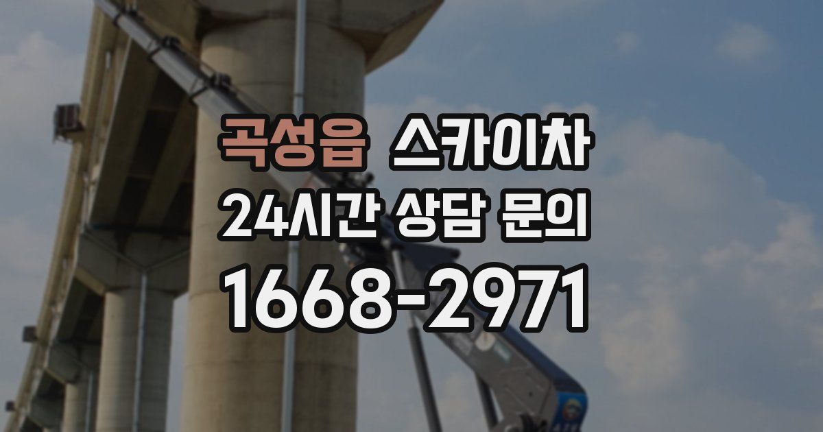 곡성읍 스카이차