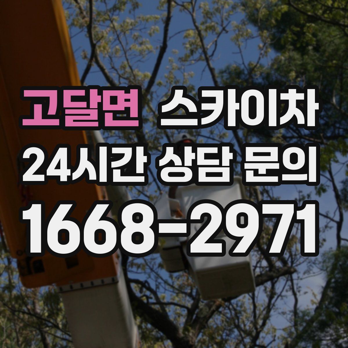 고달면 스카이차