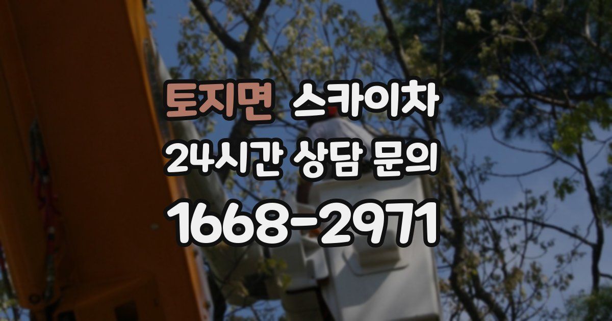 토지면 스카이차