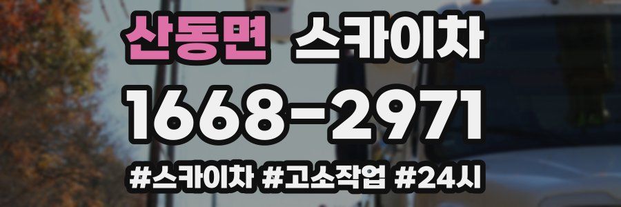 산동면 스카이차