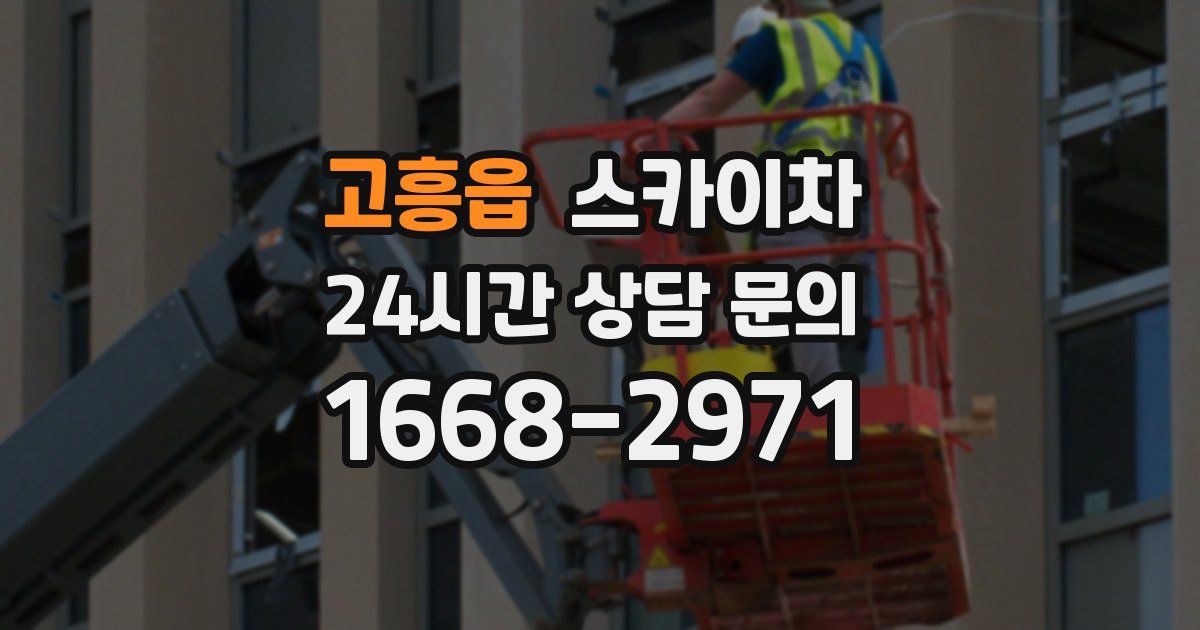 고흥읍 스카이차