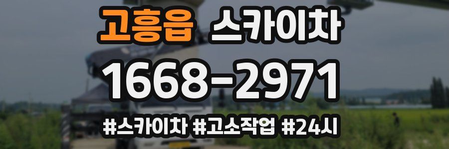 고흥읍 스카이차